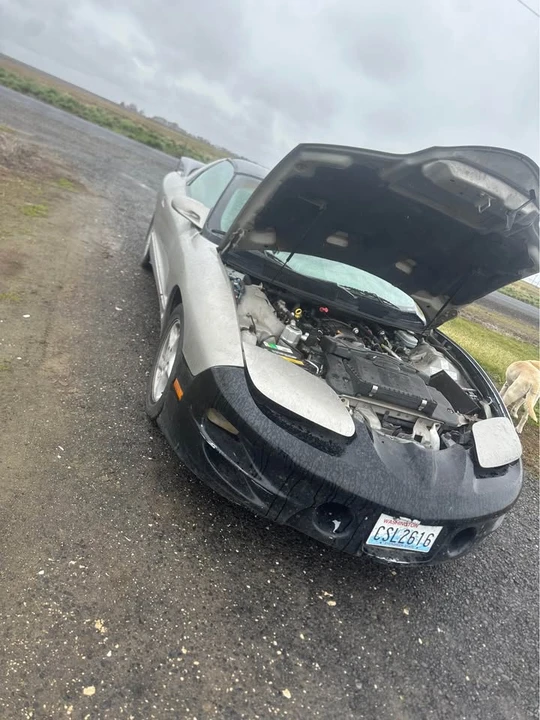 1999 Pontiac Firebird Formula 4th Gen - Image 3 of 11