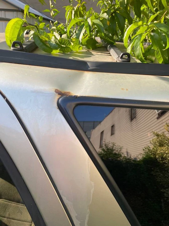 2002 Toyota 4Runner 3rd Gen - Image 18 of 24