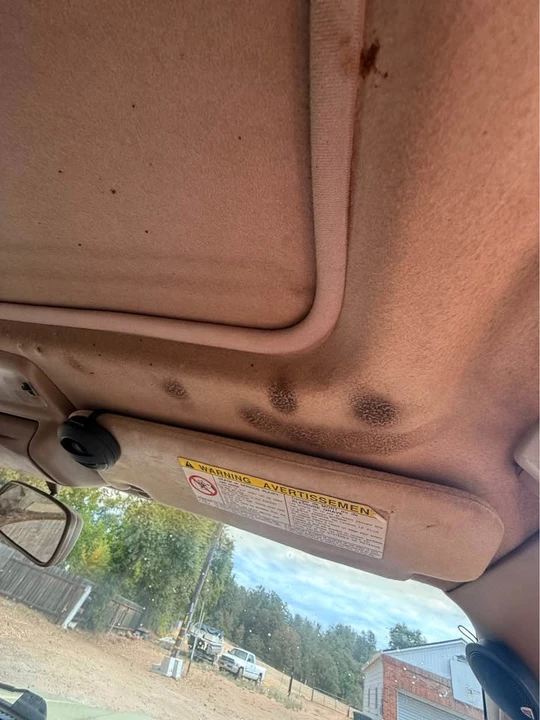 1999 Toyota 4Runner 3rd Gen - Image 11 of 11