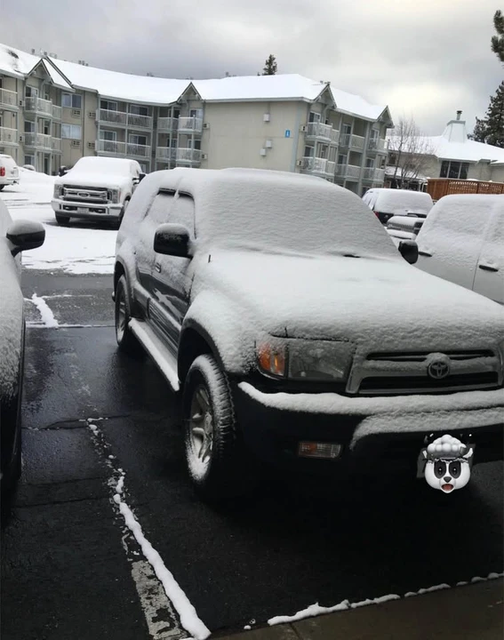 1999 Toyota 4Runner 3rd Gen - Image 2 of 9