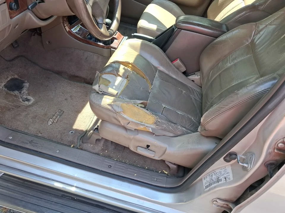 1999 Toyota 4Runner 3rd Gen - Image 4 of 17