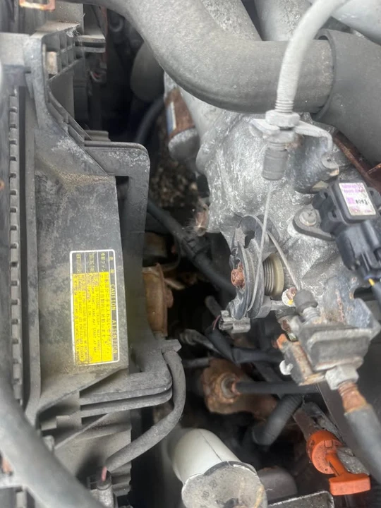 1999 Toyota Corolla 8th Gen - Image 11 of 12
