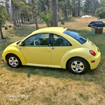 1999 Volkswagen Beetle 2.0 Hatchback 2D
