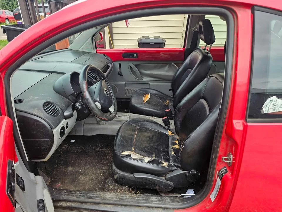 1999 Volkswagen New Beetle - Image 5 of 11