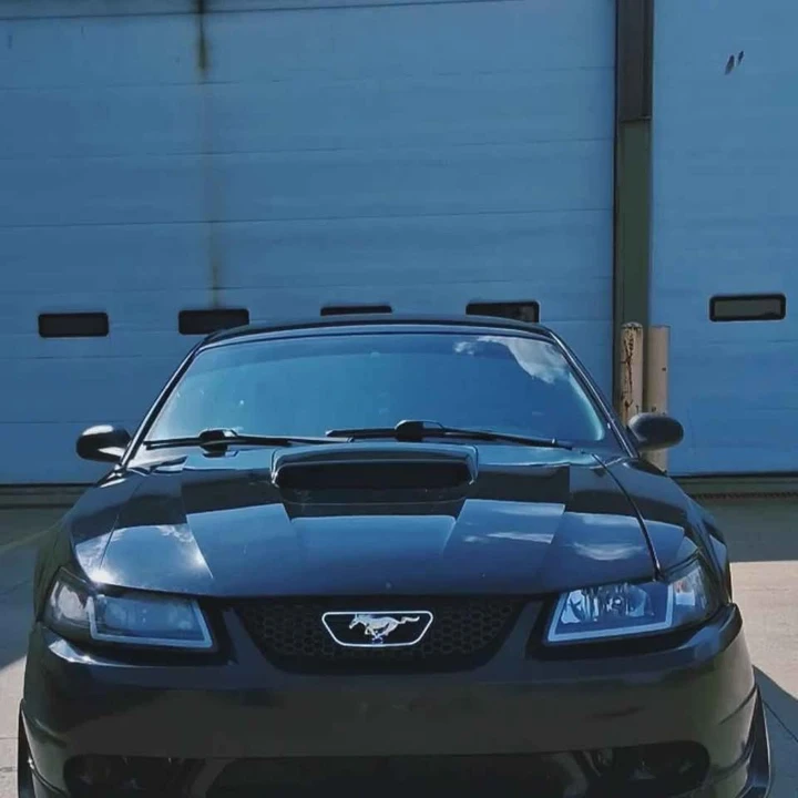 1999 Ford SN95 Mustang - Image 4 of 6