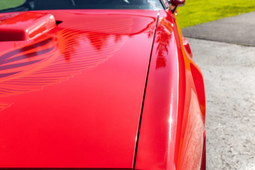 1981 Pontiac Firebird Trans Am 2nd Gen - Image 11 of 31
