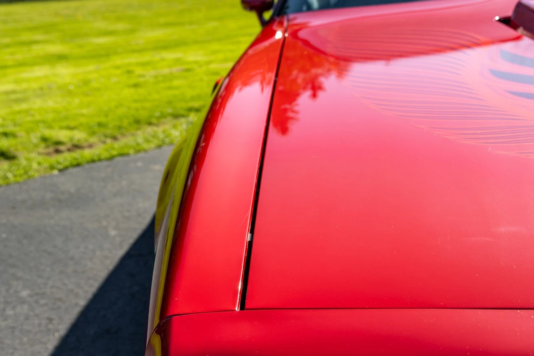 1981 Pontiac Firebird Trans Am 2nd Gen - Image 10 of 31