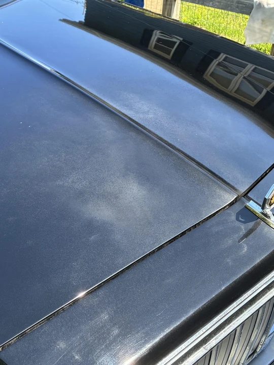 1984 Pontiac Parisienne - Image 10 of 31