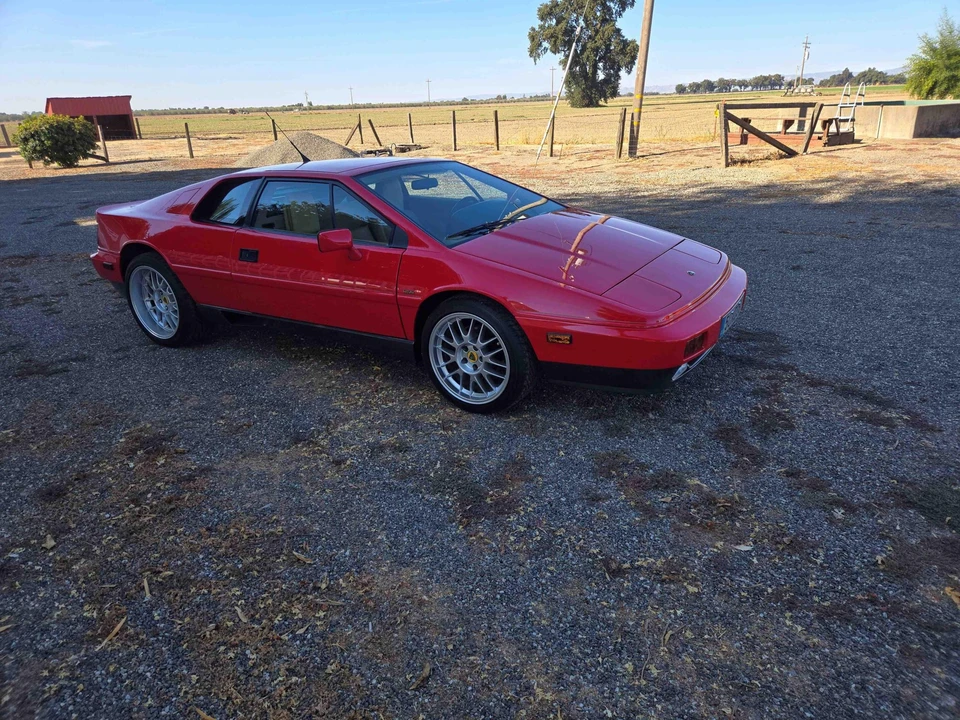 1988 Lotus Esprit X180 - Image 2 of 31