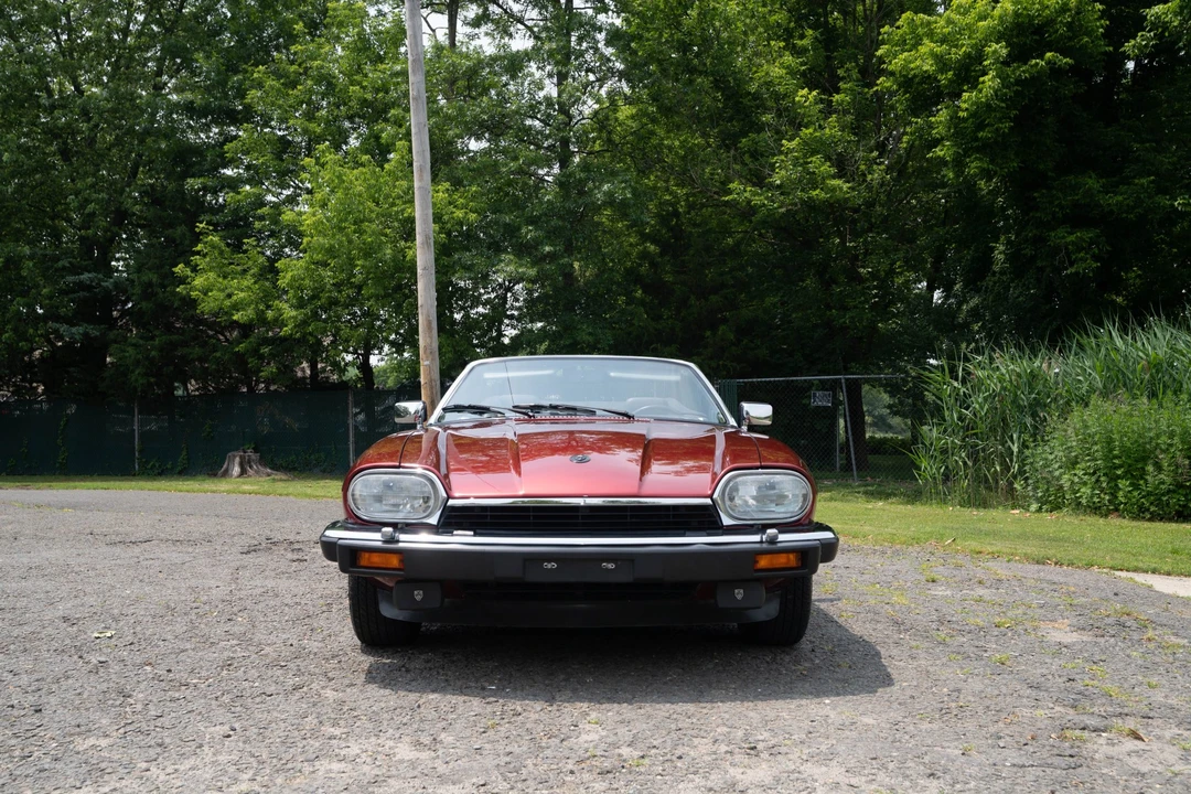 1992 Jaguar XJS Facelift V12 - Image 5 of 31