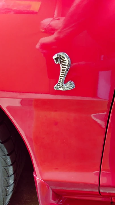 1998 Ford SN95 Mustang Cobra - Image 20 of 31