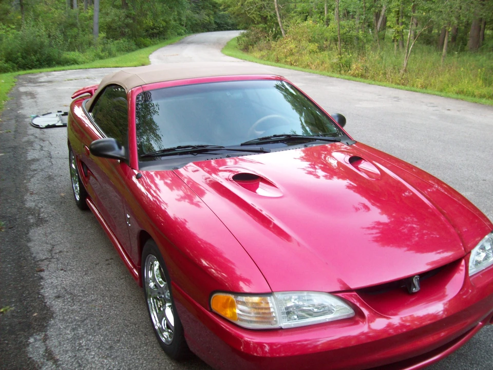 1998 Ford SN95 Mustang Cobra - Image 10 of 31