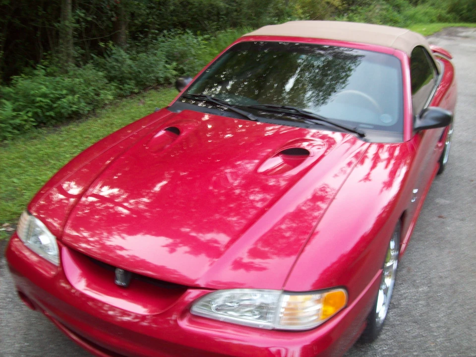 1998 Ford SN95 Mustang Cobra - Image 11 of 31