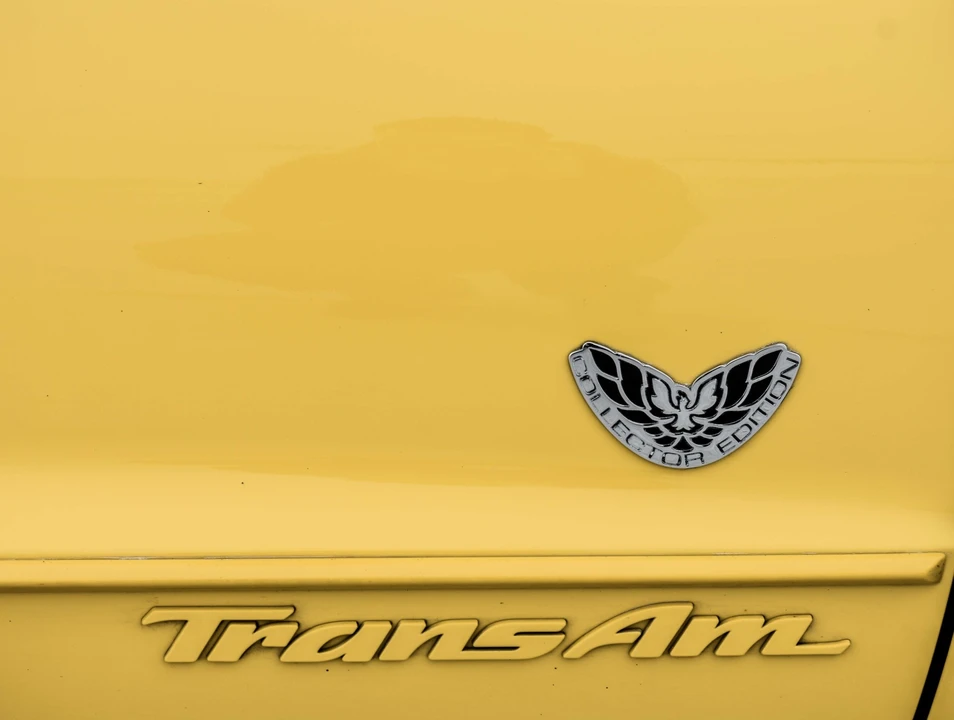 2002 Pontiac Firebird Trans Am 4th Gen - Image 25 of 31