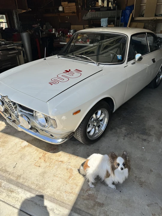 1966 Alfa Romeo GT 1300 Junior - Image 20 of 31