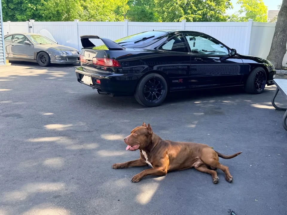 2000 Acura Integra 3rd Gen - Image 6 of 6