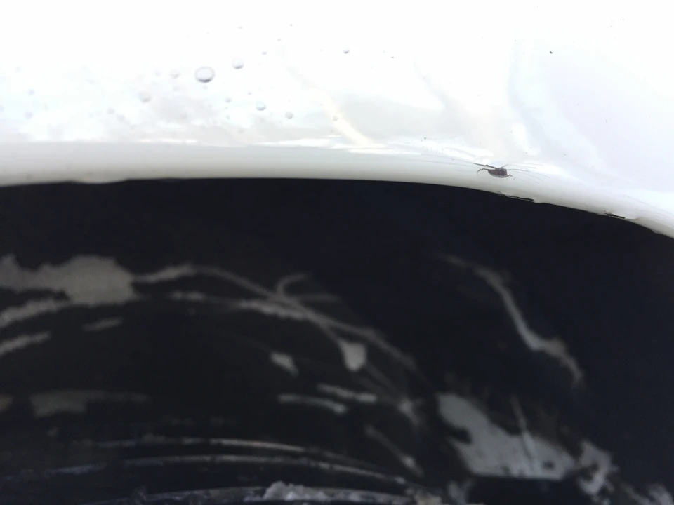 2000 Acura Integra Type R 3rd Gen - Image 30 of 31