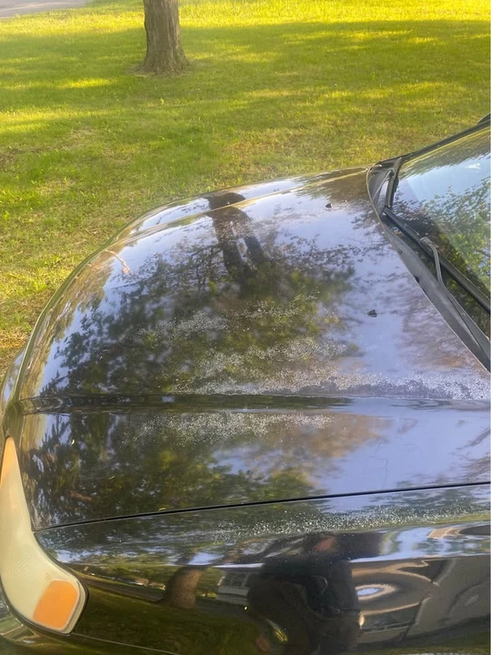 2000 Acura TL 2nd Gen - Image 6 of 11