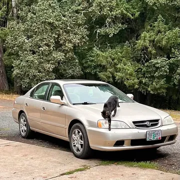 2000 Acura TL 3.2 Sedan 4D