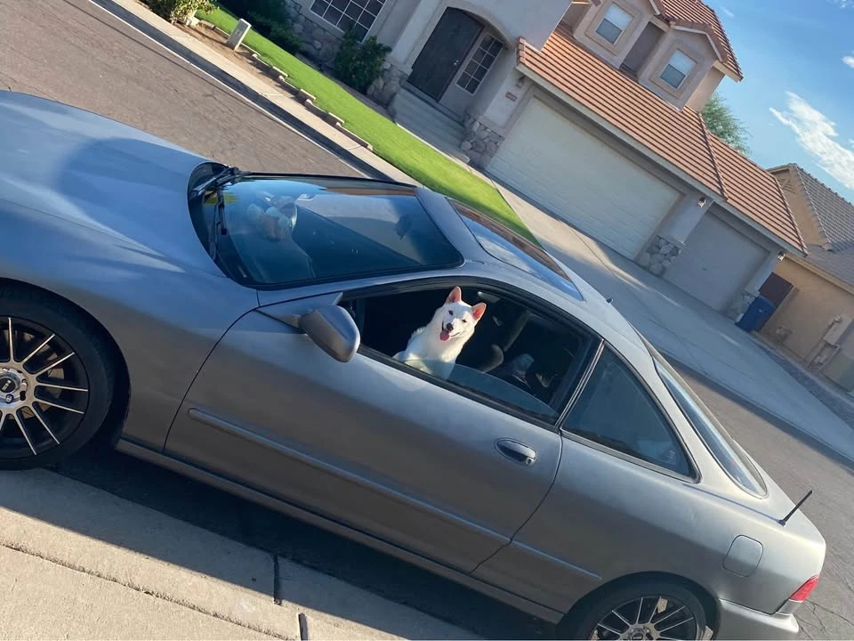 2000 Acura Integra 3rd Gen - Image 6 of 7
