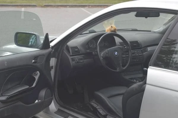 2000 BMW E46 3 Series - Image 8 of 8