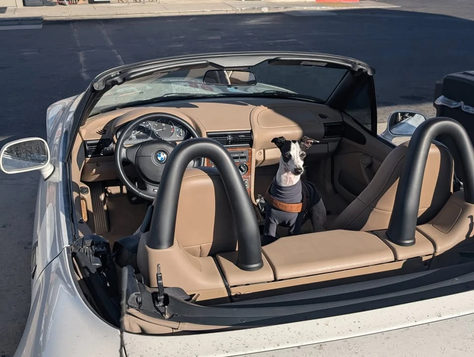2000 BMW Z3 Roadster - Image 11 of 13
