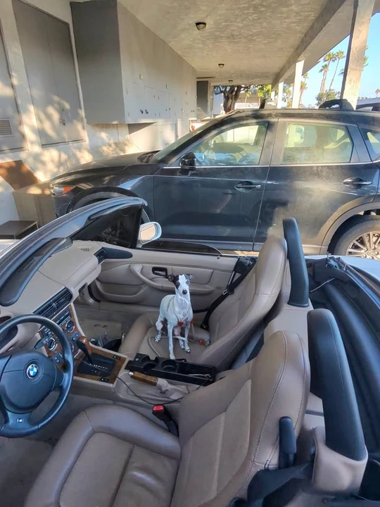2000 BMW Z3 Roadster - Image 5 of 13