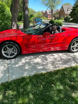 2000 Chevrolet Corvette C5 - Image 3 of 11