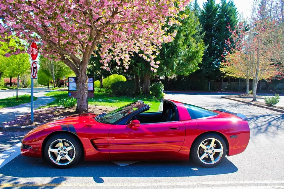 2000 Chevrolet Corvette C5 - Image 1 of 17