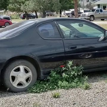 2000 Chevrolet Monte Carlo SS Coupe