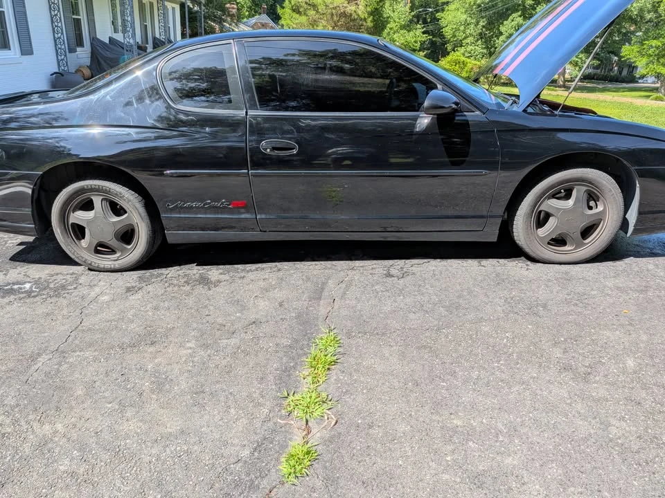 2000 Chevrolet Monte Carlo 6th Gen - Image 2 of 13