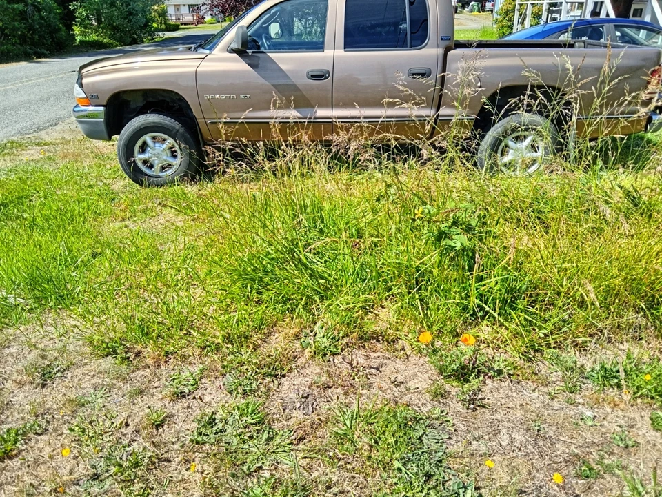 2000 Dodge Dakota 2nd Gen - Image 4 of 7