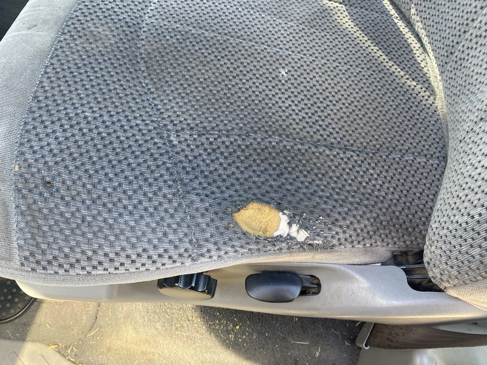 2000 Ford F-150 10th Gen - Image 18 of 23