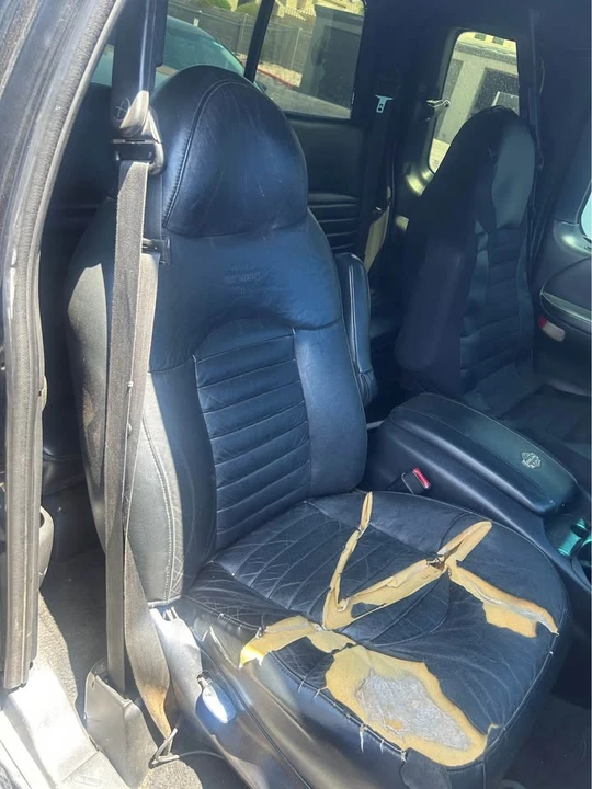 2000 Ford F-150 10th Gen - Image 11 of 11
