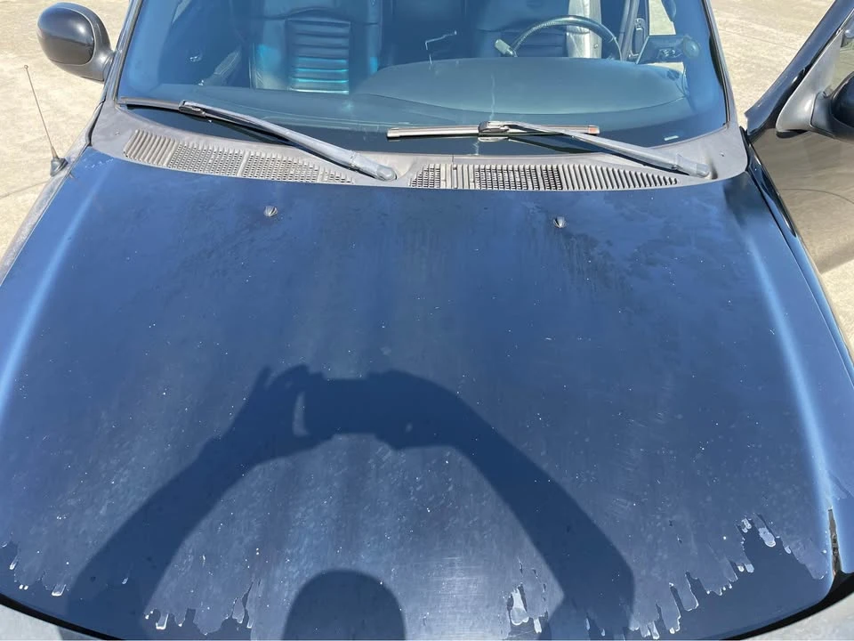 2000 Ford F-150 10th Gen - Image 18 of 19