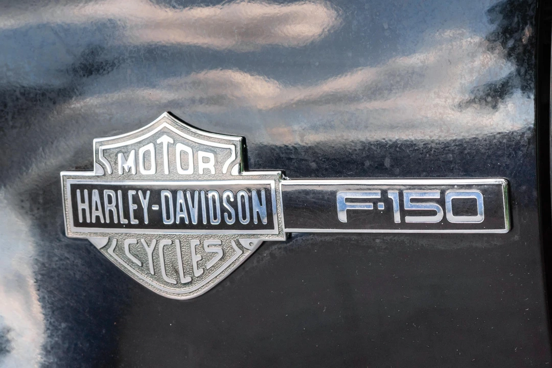 2000 Ford F-150 10th Gen - Image 30 of 31