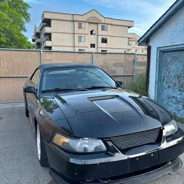 2000 Ford GT