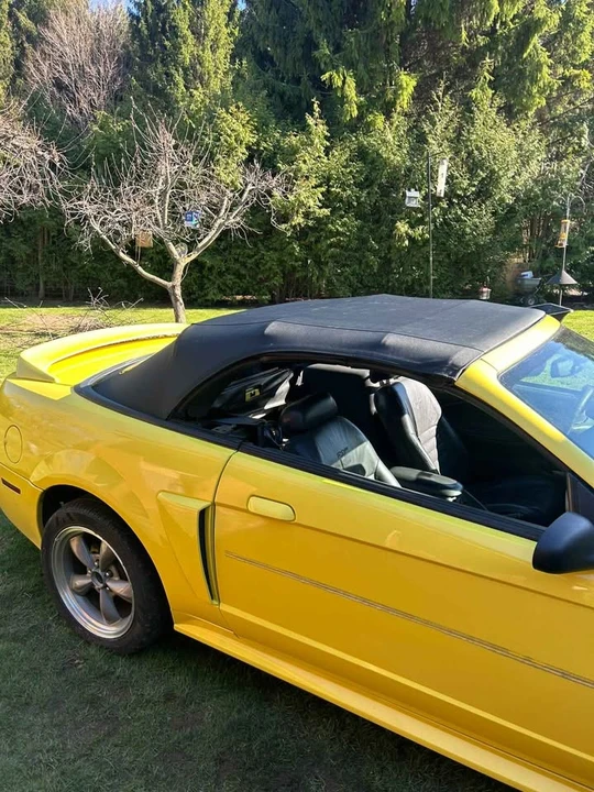 2000 Ford GT - Image 4 of 10