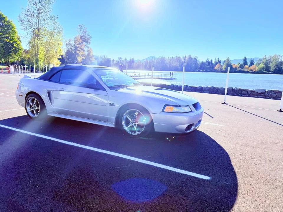 2000 Ford SN95 Mustang - Image 5 of 10