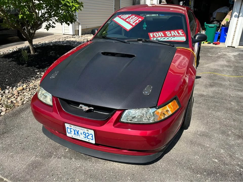 2000 Ford SN95 Mustang - Image 5 of 8