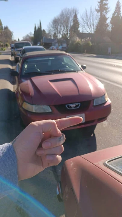 2000 Ford SN95 Mustang - Image 4 of 4