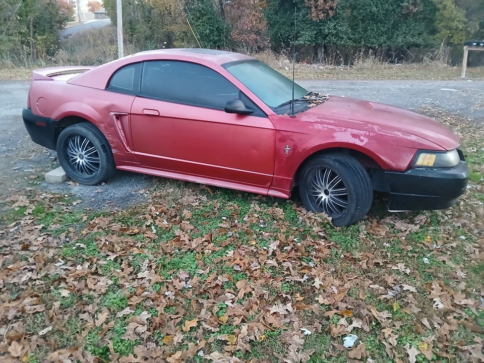 2000 Ford SN95 Mustang - Image 3 of 3