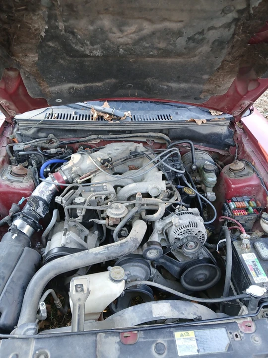 2000 Ford SN95 Mustang - Image 4 of 5