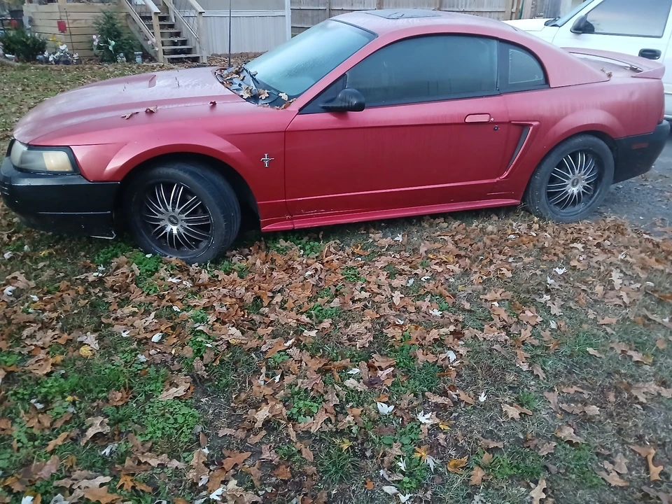 2000 Ford SN95 Mustang - Image 3 of 5