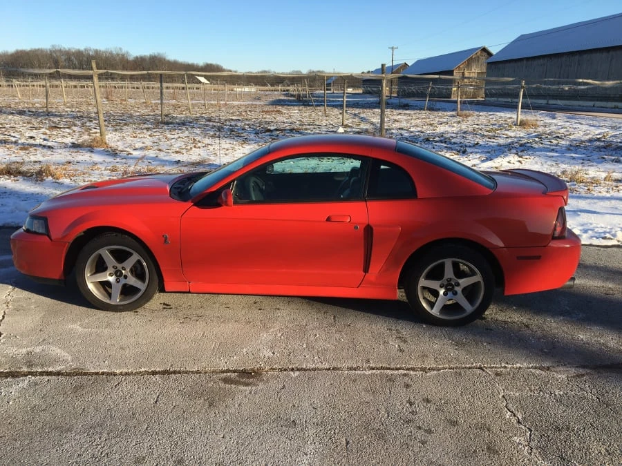 2000 Ford SN95 Mustang - Image 5 of 8
