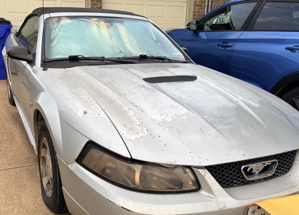 2000 Ford SN95 Mustang - Image 3 of 31