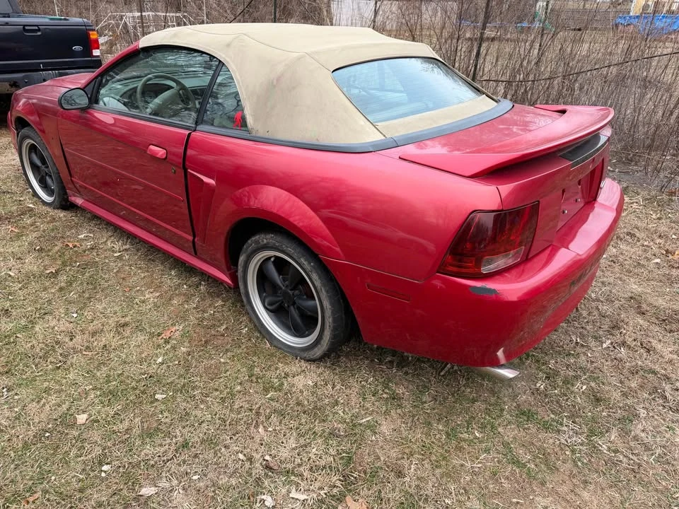 2000 Ford SN95 Mustang - Image 6 of 10