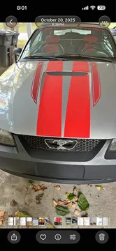 2000 Ford Mustang Convertible
