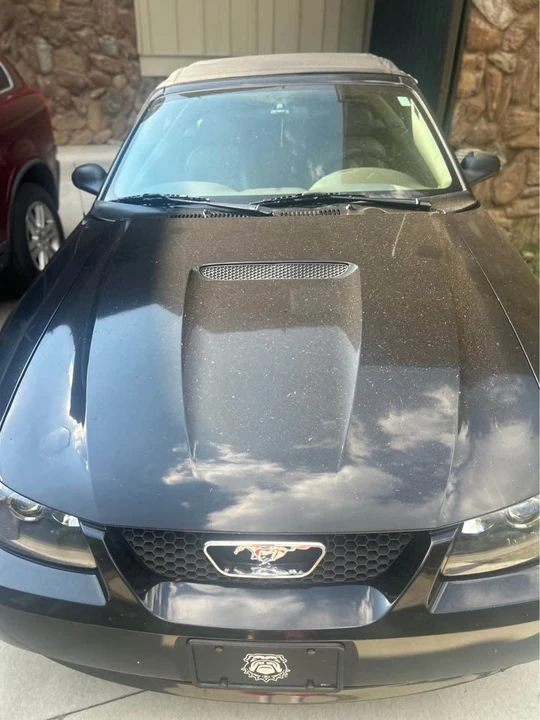 2000 Ford SN95 Mustang - Image 2 of 18