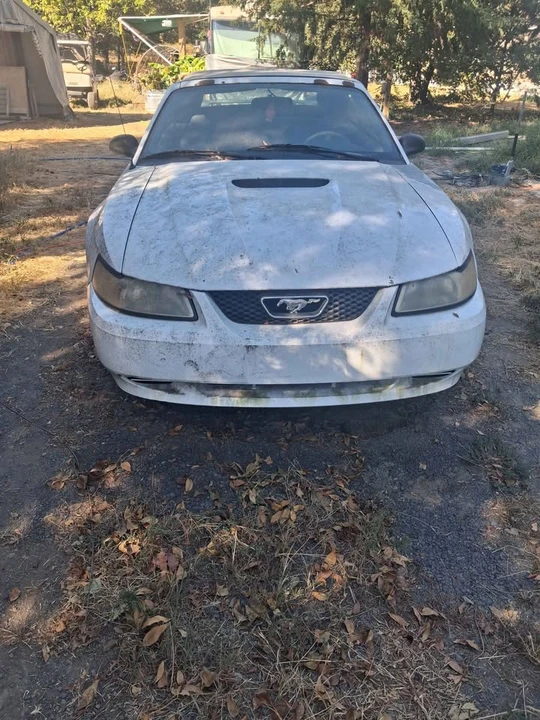 2000 Ford SN95 Mustang - Image 3 of 5